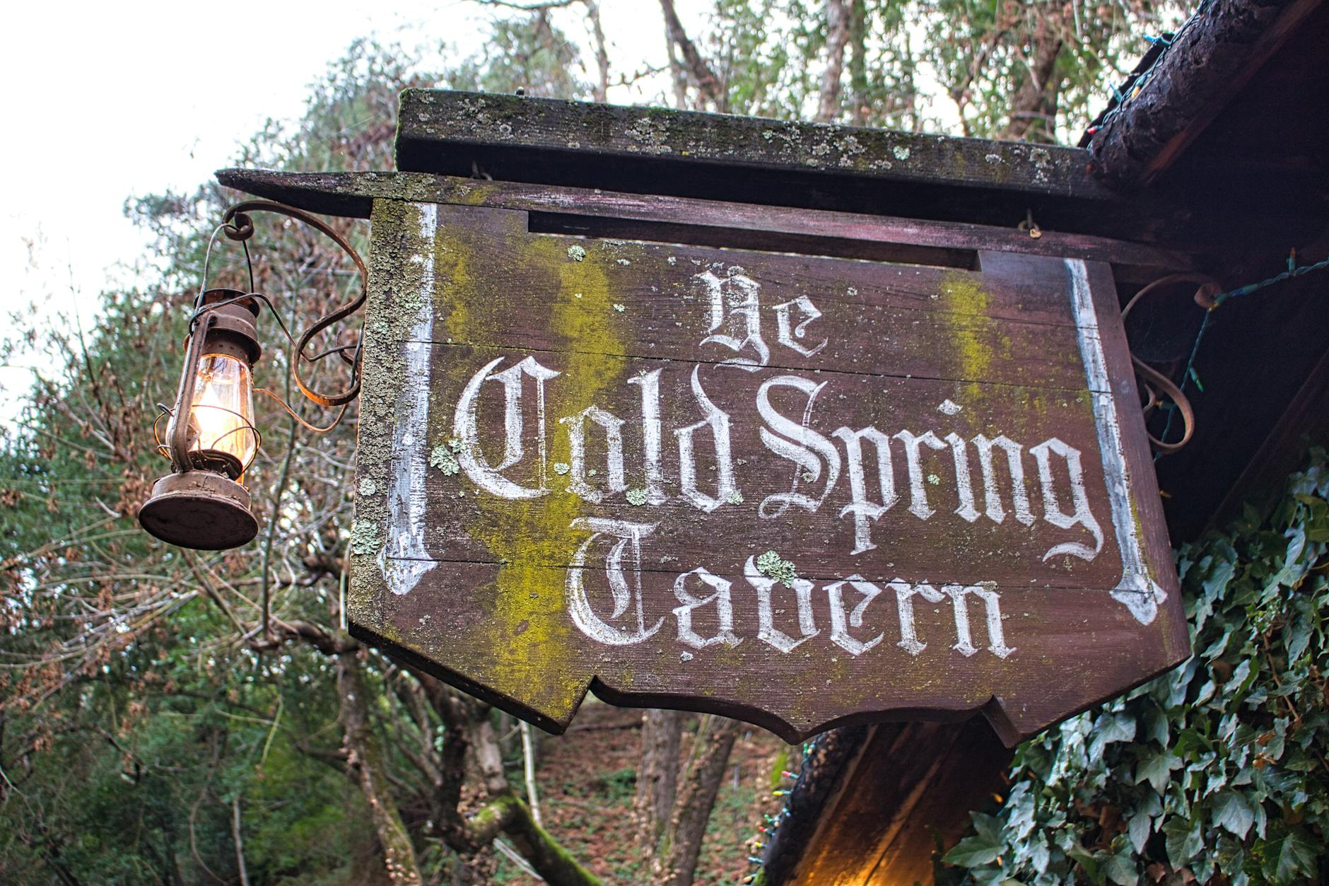 Drewniany szyld karczmy z wiszącą latarnią na tle zieleni