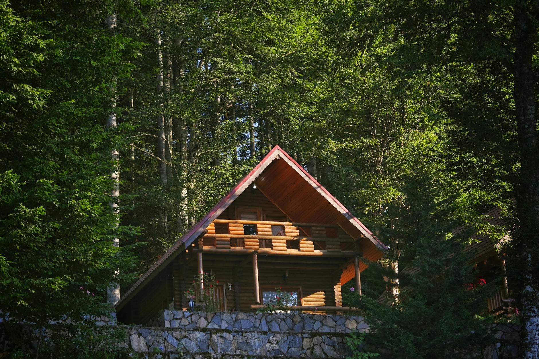 Drewniana chatka w zielonym lesie, klimatyczne miejsce na nocleg w Lanckoronie