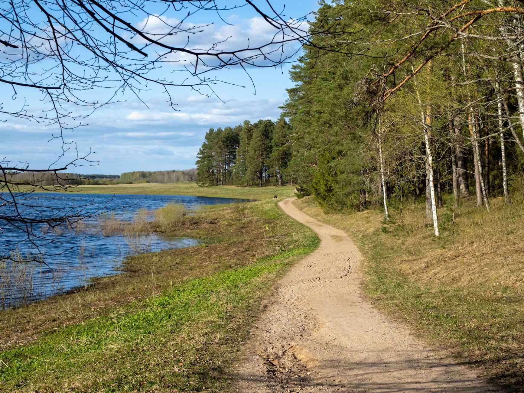 Leśna ścieżka nad spokojnym jeziorem w słoneczny dzień