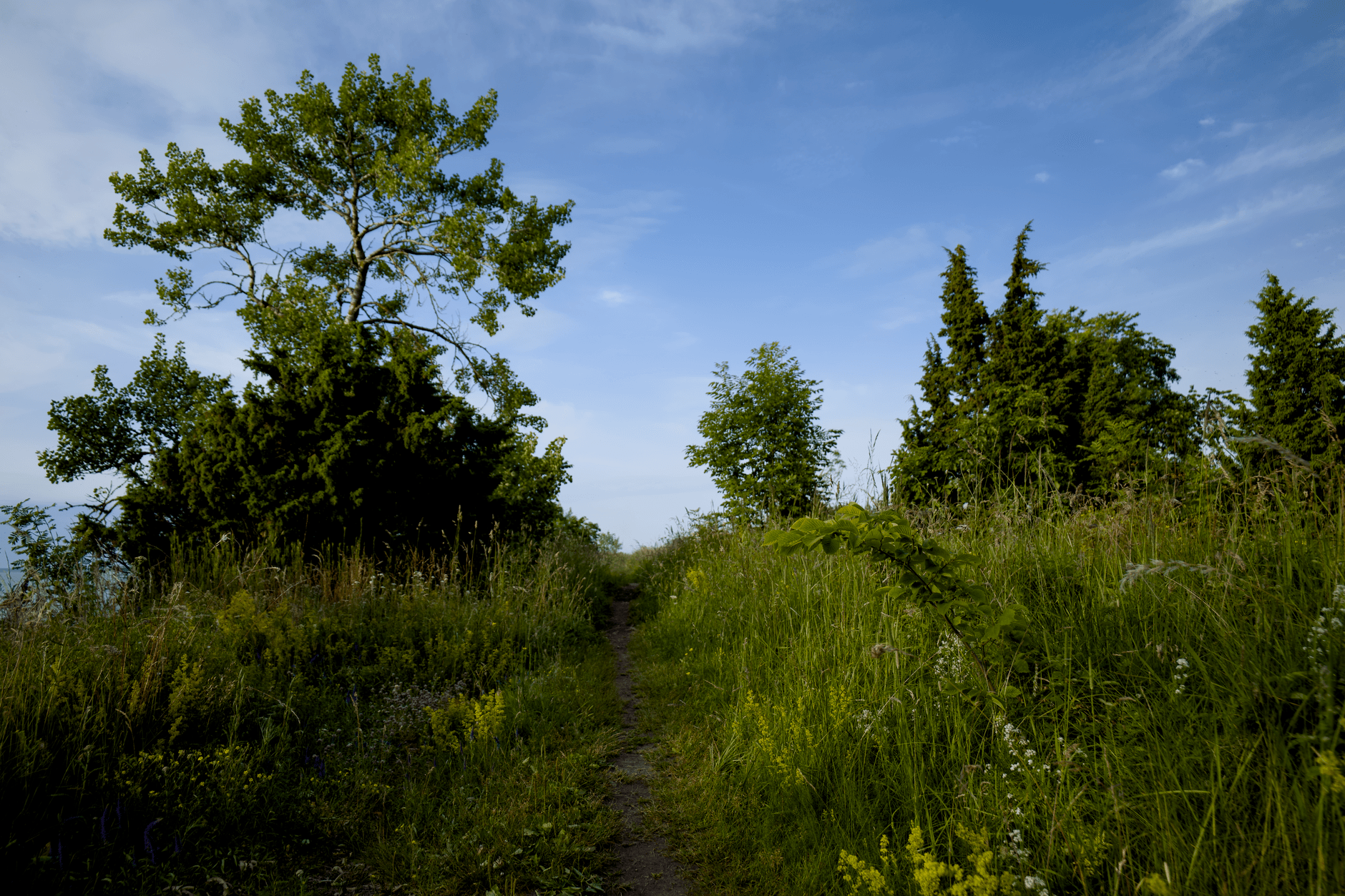 Spacer do Brodów: mała pętla z pięknymi panoramami pod Lanckoroną Leśna ścieżka spacerowa w okolicach Lanckorony w słoneczny dzień